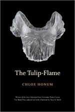 The Tulip-Flame by Chloe Honum